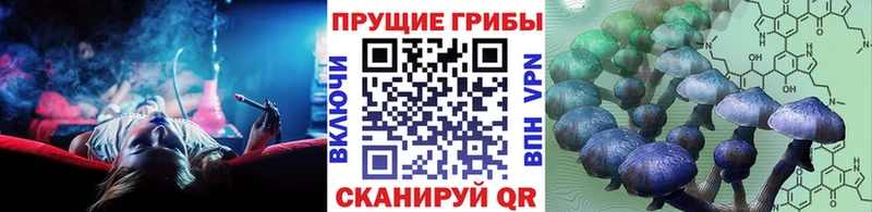 Псилоцибиновые грибы Magic Shrooms  Белогорск 
