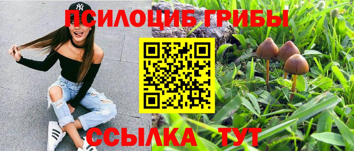 Псилоцибиновые грибы Cubensis  Белогорск  Галлюциногенные грибы MAGIC MUSHROOMS 