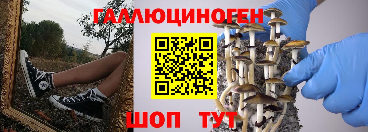 купить  цена  Вход с VPN  Белогорск  Галлюциногенные грибы мицелий 
